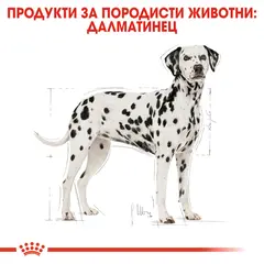 ROYAL CANIN® DALMATIAN - Пълноценна суха храна за далматинци в зряла възраст над 15 месеца - 12кг.