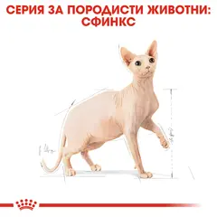 ROYAL CANIN® SPHYNX - пълноценна суха храна за котки сфинкс в зряла възраст над 12 месеца