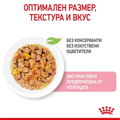 Royal Canin Kitten in Jelly - Пауч за подрастващи котенца хапки в желе 12x85g