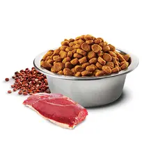 N&D Quinoa Hairball with Duck & Cranberry Adult Cat 300g– суха храна без зърнени култури против космени топки, за котки над 1 година, с патешко, киноа, ябълка и червени боровинки