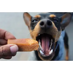 CHURPI Natural Dog Snack Medium - Натурално дентално лакомство за кучета от дребни породи  до 10 кг, 11-13 см, 70 гр