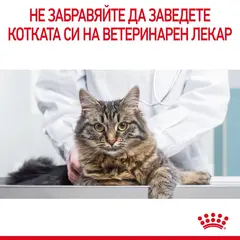 ROYAL CANIN CARE HAIRBALL IN JELLY - храна за котки в зряла възраст, склонни към образуване на космени топки – пауч парченца в желе