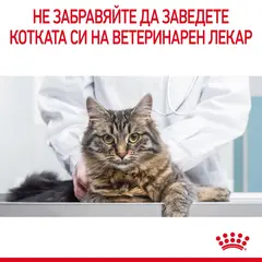 ROYAL CANIN CARE URINARY IN JELLY 12x85g - храна за котки в зряла възраст с уринарна чувствителност – пауч парченца в желе
