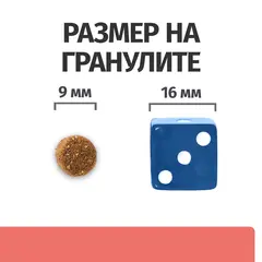 Hill's PRESCRIPTION DIET FELINE ON-CARE – лечебна суха храна за котки, страдащи от тежки заболявания, с пилешко 1,5 кг