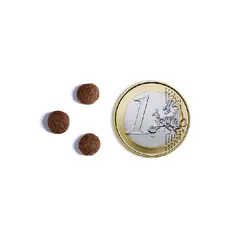 Ambrosia Sterilized Cat  Fresh Salmon & Chicken Ulta premium - холистична, хипоалергенна, беззърнена храна за кастрирани котки със сьомга и пилешко, 5 кг