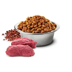 N&D Quinoa Skin & Coat with Venison, Adult MINI – суха храна без зърнени култури за здрава кожа и козина, за кучета над 1 година от дребни породи, с еленско, киноа, кокос и куркума  - 7 кг