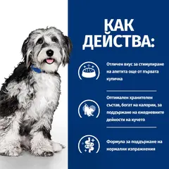 Hill's PRESCRIPTION DIET ON-CARE STEW – лечебна мокра храна за кучета, страдащи от тежки заболявания, с пилешко и зеленчуци, консерва 354 гр