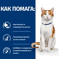 Hill's PRESCRIPTION DIET FELINE ON-CARE – лечебна суха храна за котки, страдащи от тежки заболявания, с пилешко 1,5 кг