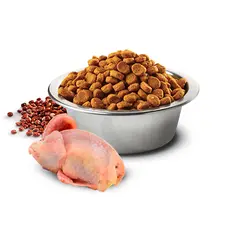 N&D Quinoa Skin & Coat with Quail for adult MINI dog – суха храна без зърнени култури за здрава кожа и козина, за кучета над 1 година от дребни породи, с пъдпъдък, киноа, кокос, и куркума  - 800 гр
