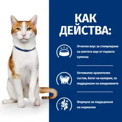 Hill's PRESCRIPTION DIET FELINE ON-CARE – лечебна суха храна за котки, страдащи от тежки заболявания, с пилешко 1,5 кг