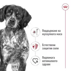 Royal Canin Medium Adult Pouch - Пълноценна мокра храна в пауч за кучета в зряла възраст от средни породи над 12 месеца - 10 х140 г - СРОК 08.2026