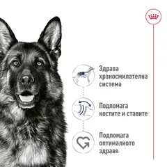 Royal Canin Maxi Adult Can - Пълноценна мокра храна за кучета в зряла възраст от едри породи (от 26 до 44кг)- от 15 месеца до 5 години, консерва 410 гр