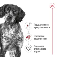 Royal Canin Medium Adult Can - Пълноценна мокра храна за кучета в зряла възраст от средни породи (от 11 до 25кг) - oт 12 месеца до 7 години, консерва 410 гр
