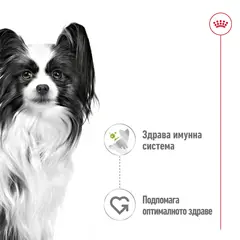 Royal Canin X Small Adult Pouch Gravy Sauce - Пълноценна мокра храна в пауч за кучета в зряла възраст от много дребни породи (тегло в зряла възраст до 4кг) от 10 месеца до 8 години, 12 x 85 гр