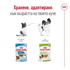 Royal Canin X Small Adult Pouch Gravy Sauce - Пълноценна мокра храна в пауч за кучета в зряла възраст от много дребни породи (тегло в зряла възраст до 4кг) от 10 месеца до 8 години, 12 x 85 гр