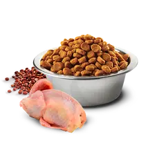 N&D Quinoa Skin & Coat with Quail for adult MEDIUM & MAXI dog – суха храна без зърнени култури за здрава кожа и козина, за кучета над 1 година, с пъдпъдък - 2,5 kg