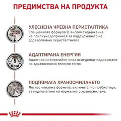 Royal Canin Feline Gastrointestinal Fiber Response - Пълноценна мокра храна за котки, формулирана за компенсиране на лошото храносмилане, пауч хапки в сос - 12x85 гр