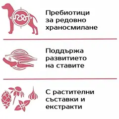 Monge All breeds Puppy and Junior Monoprotein Beef with Rice - Пълноценна суха храна за подрастващи кученца от всички породи с телешко и ориз - 12 кг