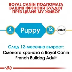 Royal Canin French Bulldog Puppy - суха храна за подрастващи кучета порода френски булдог на възраст от 1 до 12 месеца - 1 кг