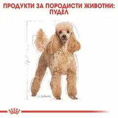 Royal Canin Poodle Pouch - пауч за кучета над 10 месеца от порода пудел 12х85гр