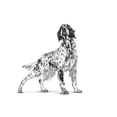 Royal Canin Gastrointestinal High Fiber Loaf Dog - лечебна мокра храна за кучета при храносмилателни проблеми, консерва 410 г