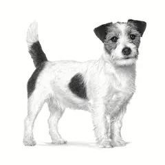 Royal Canin Gastrointestinal Low Fat Small Dog - храна за кучета от малки породи с ниско съдържание на мазнини и подпомагаща храносмилането - 3,5 кг