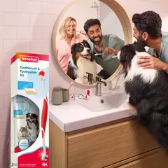 Beaphar Toothbrush & Toothpaste Dental Care Kit - Комплект паста за зъби + четка за зъби за кучет аи котки, 100 г