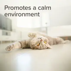 Beaphar StressLess Herbal Calming Home & Travel Spray - Успокояващ спрей за кучета и котки с валериана, 125 мл
