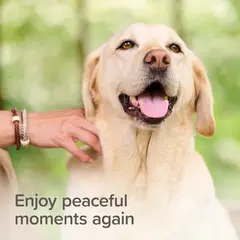 Beaphar StressLess Herbal Calming Home & Travel Spray - Успокояващ спрей за кучета и котки с валериана, 125 мл