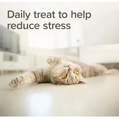 Beaphar StressLess - Билкови успокояващи хапки за котки, 35 г
