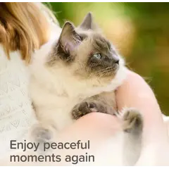 Beaphar StressLess - Билкови успокояващи хапки за котки, 35 г
