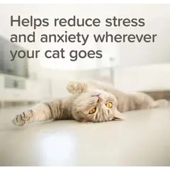 Beaphar StressLess Herbal Calming Spot-On успокояващи пипети за котки, 3 бр