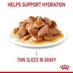 Royal Canin  Hair & Skin In Gravy 12x85g - Пауч за котки в зряла възраст с чувствителна кожа и козина без блясък 12 бр х 85 г