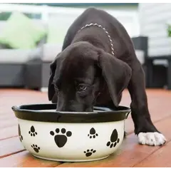 Vet's Best Breath Freshener - Вода за уста за кучета, за свеж дъх с мента и карамфил - 500 мл