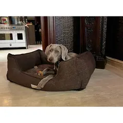 Pet Comfort Bravo легло за кучета и котки, с ортопедична пяна, тъмно сиво, XS, 55х45 см