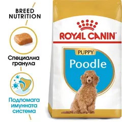 Royal Canin Poodle Puppy - пълноценна суха храна за подрастващи кучета от порода пудел - 500 г