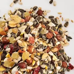 Versele-Laga Exotic Fruit Mix - Храна за големи папагали с екзотични плодове - 15 кг