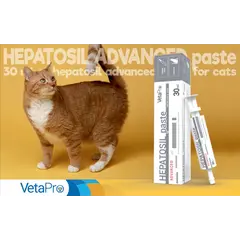 VetaPro Hepatosil Advanced Paste - подпомага функцията на черния дроб, за котки - шприц х 30 мл