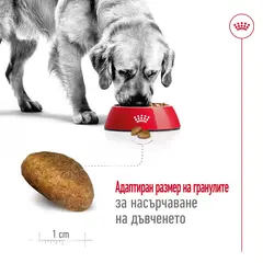 Royal Canin Maxi Adult - суха храна за големи кучета