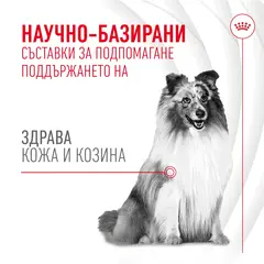 Royal Canin® Skin & Coat Adult Supplement - Хранителна добавка за кожа и козина за кучета - 240 г
