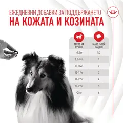 Royal Canin® Skin & Coat Adult Supplement - Хранителна добавка за кожа и козина за кучета - 240 г