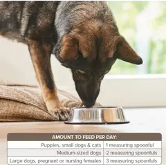 Beaphar Bone Builder Dog & Cat – хранителна добавка за кучета и котки, с калций и фосфор, 500 г
