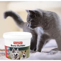 Beaphar Bone Builder Dog & Cat – хранителна добавка за кучета и котки, с калций и фосфор, 500 г