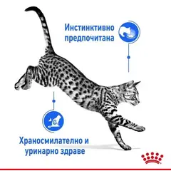 Royal Canin Indoor Sterilised Gravy - Пълноценна мокра храна за кастрирани котки, живеещи на закрито - парченца в сос в пауч 12х85 г