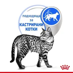 Royal Canin Indoor Sterilised Gravy - Пълноценна мокра храна за кастрирани котки, живеещи на закрито - парченца в сос в пауч 12х85 г