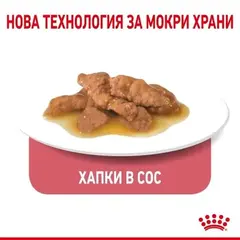 Royal Canin Indoor Sterilised Gravy - Пълноценна мокра храна за кастрирани котки, живеещи на закрито - парченца в сос в пауч 12х85 г