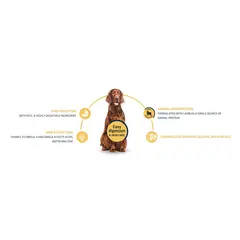 Advance Dog All Breeds Adult Sensitive - Суха храна за кучета с чувствително храносмилане с агнешко и ориз - 3 кг
