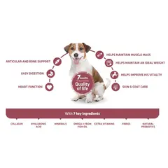 Advance Dog Vitality Senior Mini  +8 - суха храна за мини и малки породи кучета на възраст над 8 години с пилешко и ориз - 3 кг