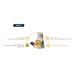 Advance Cat Adult Sensitive - Суха храна за котки с чувствително храносмилане, със сьомга и ориз - 3 кг