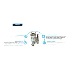 Advance Kitten -  Суха храна за подрастващи котенца с пилешко и ориз - 10 кг